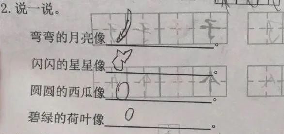 小学生的考试答案有多野？