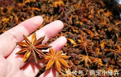 做菜|做菜时,如何才能激发八角最佳的“香味”?弄懂了你也转身变大厨