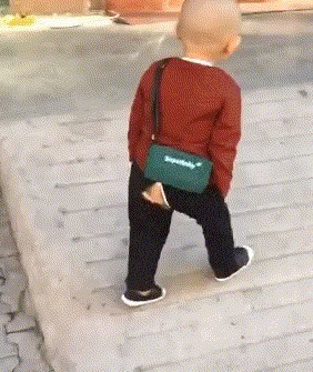 |搞笑GIF趣图:这次我终于要成功了,你们就等着看吧