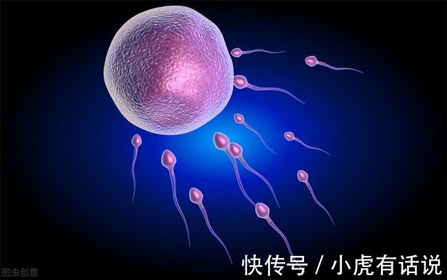 女性|生男生女，其实取决于女性！女人的卵子对男人的精子有选择权！