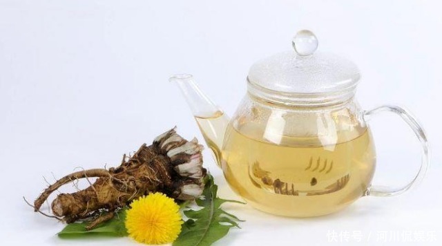 蒲公英泡水|51岁女子,因一壶蒲公英水,被送进医院,蒲公英4大禁忌要知晓