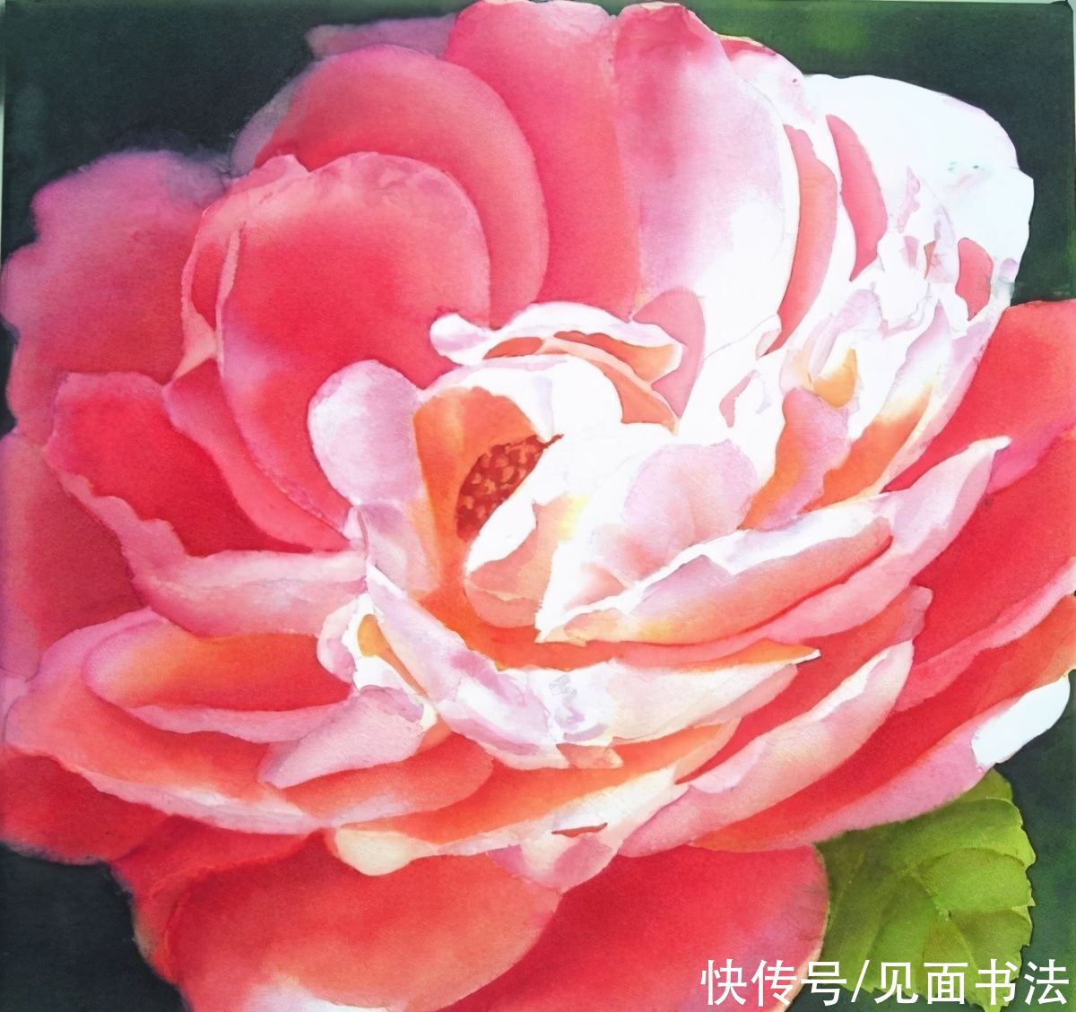  欣赏|「愙斋书法」美丽的玫瑰花：Doris Joa绘画欣赏