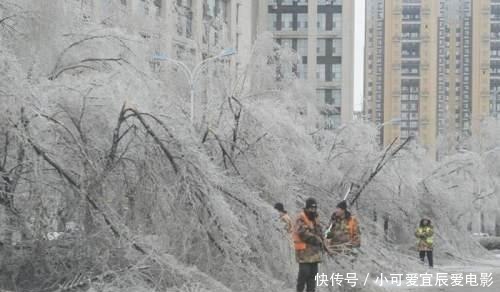罕见冻雨危害严重 长春街边损失超2亿元