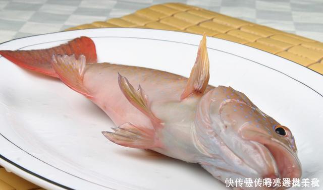 “龙虾过桥东星斑”正确做法,记住这3个技巧,做出来不比饭店差