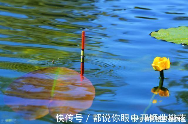半目|鲫鱼都是送漂?谣言!这7种漂相都是鲫鱼吃钩,看你错过多少鱼