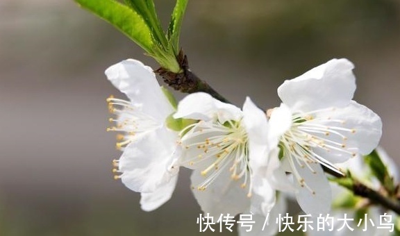 |开心笑话：我的意思是，你直接给我滚蛋啊