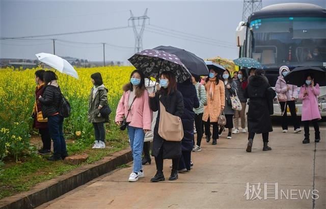 “女神节”里一起来看七彩油菜花