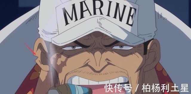 绿牛|海贼王赤犬弄断青雉一条腿,却让自己失去了最重要的东西!