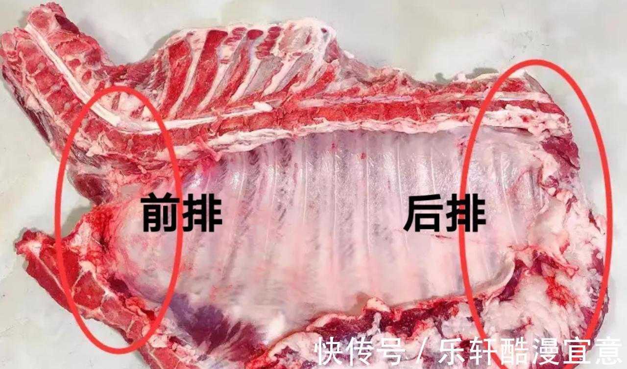排骨|原来排骨还分“前排”和“后排”!肉感差别大,建议你弄懂再买