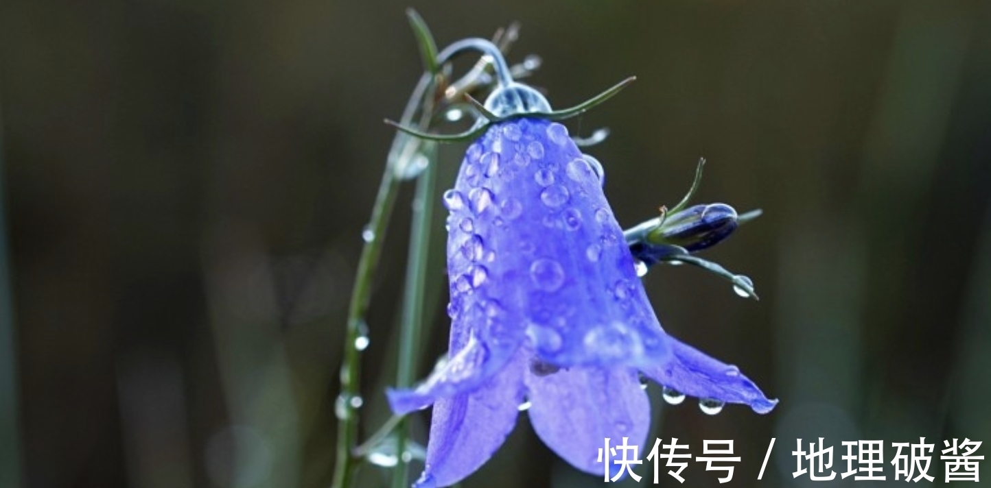 良缘|11月,再度牵手,有始有终,3生肖爱得及时,真情犹在,回首良缘