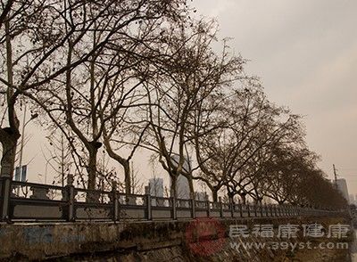  大雪|大雪的习俗 到了这个节气要适当进补