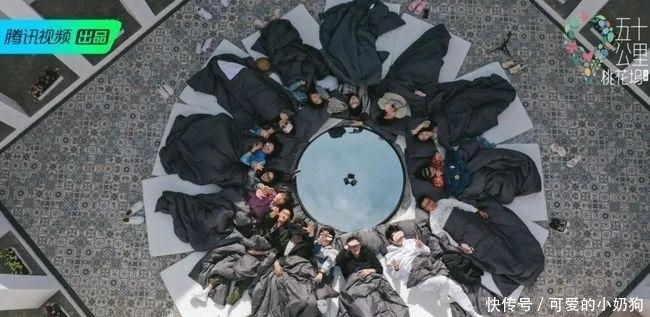 商机 五十公里桃花坞惹争议,细数节目优缺点,好看不好看,等你来评判