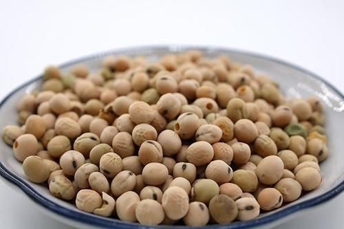 肚子|肚子咕咕叫，频繁放屁，是肠胃在“捣乱”？或许是你错怪了它