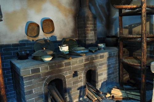 银翘|“芦根煮水喝”,过去农村治感冒发烧的土办法,简单管用!