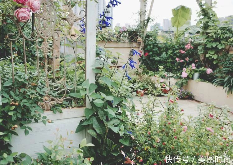130㎡大露台,花1年改造成“花草蔬果园”,体验屋顶上的田园生活