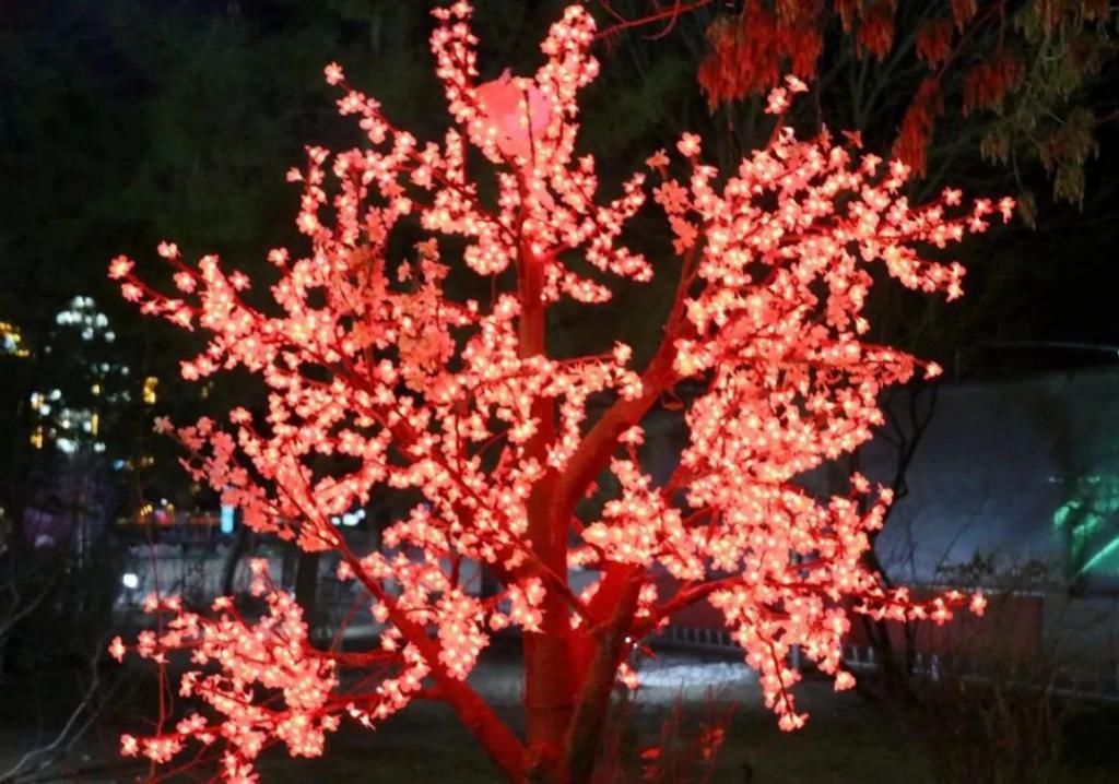 老年|金塔：火树银花不夜天，流光溢彩迎新年~