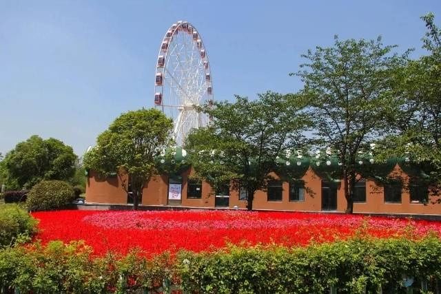 心情|初夏的宝山顾村公园，明亮你的心情