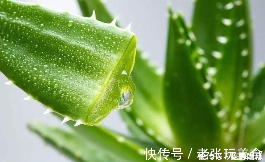 高血糖|天然的“降糖药”找到了，经常吃一点，有效降血糖，远离糖尿病