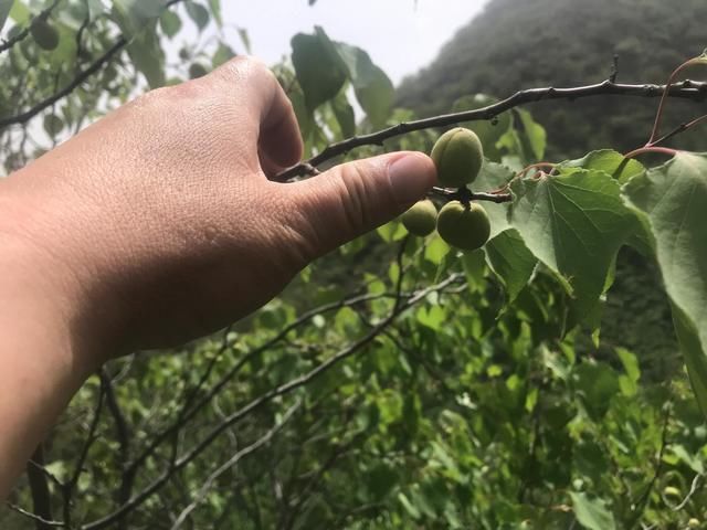 昆仑山|京西门头沟~大山里的佛教文化