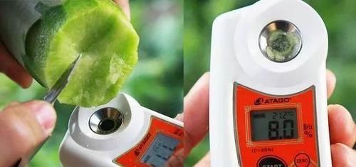 老年人科学的饮食搭配，有益于推迟衰老，健康长寿