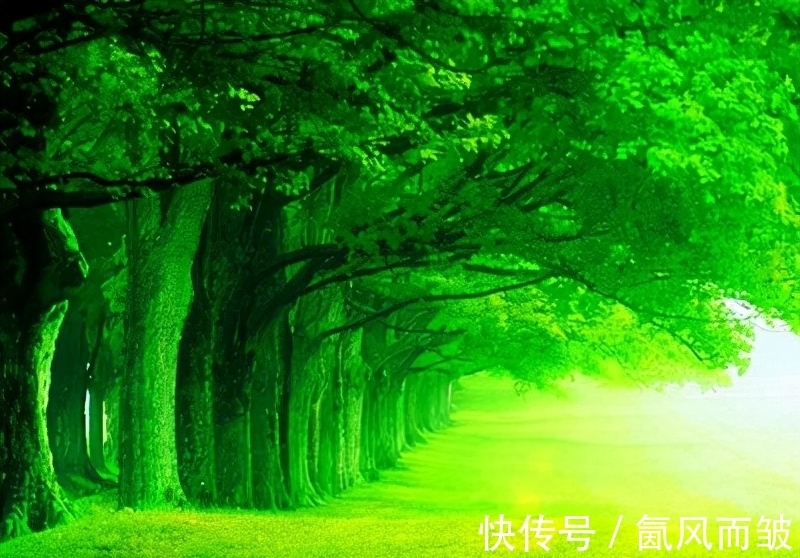 李昌符!古诗词常用典故:郗家庭树下 几度醉春风