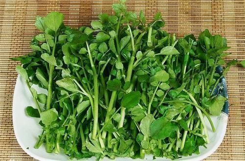 豆瓣菜|聪明人爱吃3种食物，排毒养颜，延缓衰老，早吃早受益