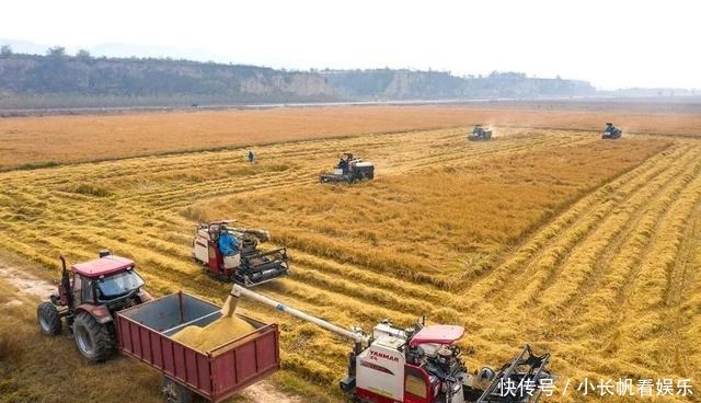  大地|「视觉」河东大地绽新颜 今朝盛景迷人眼