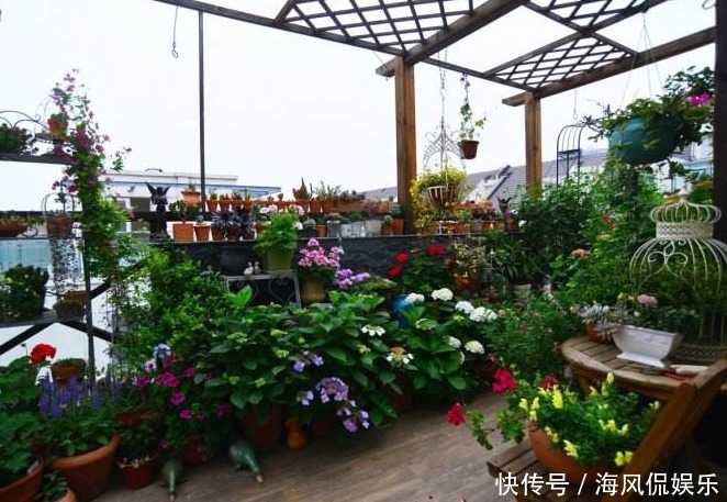 小花园|阳台空间别再浪费了，学学这样设计，功能多多，美观时尚！
