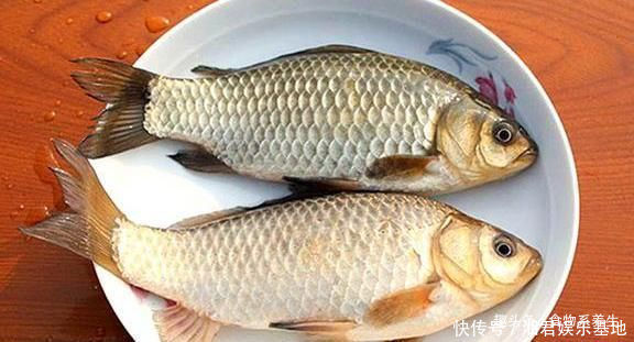 可惜|它曾是“四大名鱼”之一,想吃靠运气,如今5元一斤没人买,可惜