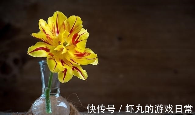 3星座|7月底，桃花遍地，春风得意，3星座时来运转，牵手意中人