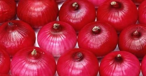 洋葱|洋葱,养花的“好帮手”,既能杀虫又能堆肥,还很便宜