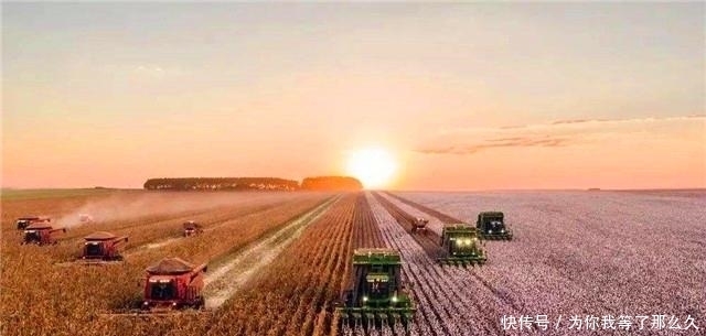 中国|经济学家王福重:农民的辛苦,其实是真正的懒惰