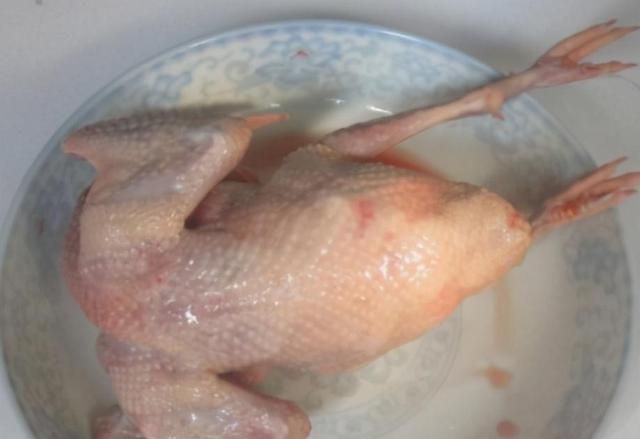 鲜肉|一鸽胜九鸡，冬日炖一碗鸽子汤，汤鲜肉嫩不腥，这样做营养更滋补