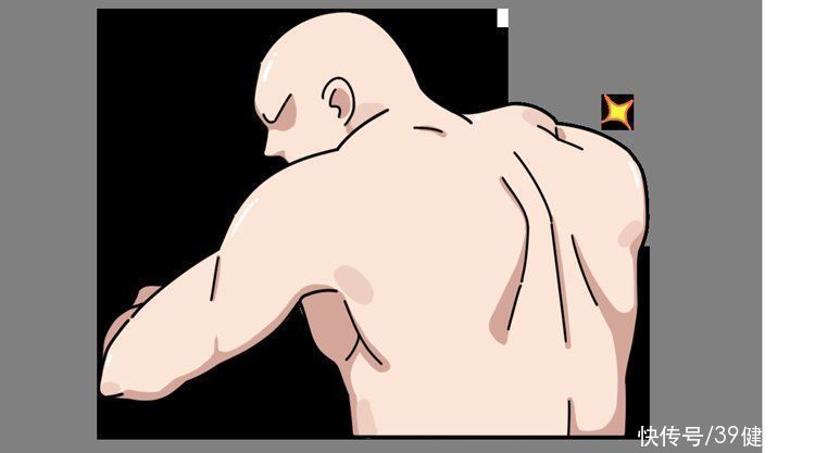 移植|揭秘植发全过程:一次植发能维持多久?哪些人不适合做?有多贵?