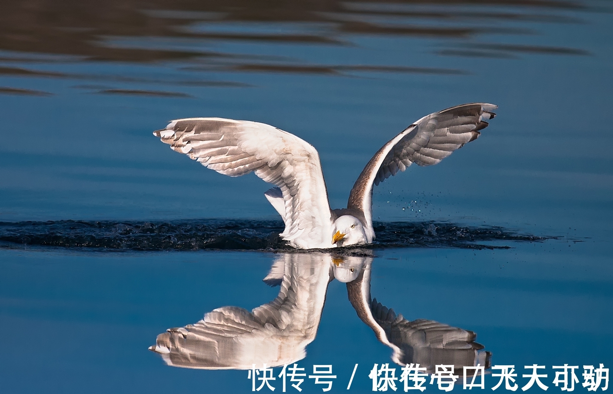 桓温#以10首七绝写出最美家乡,最喜欢哪首?行吟非古人专利,你也可以