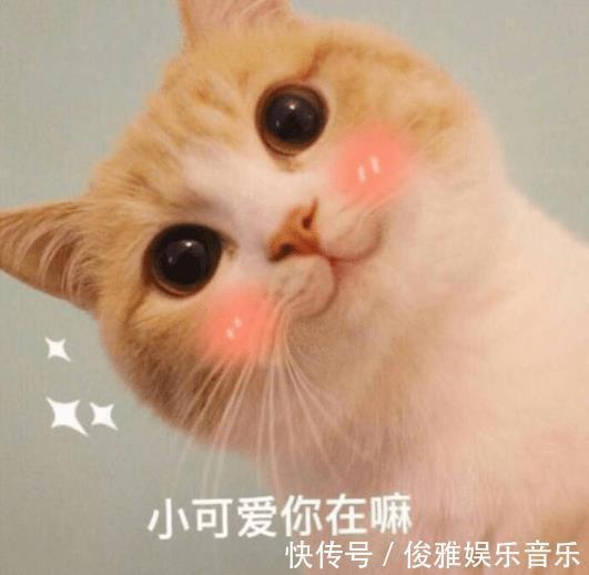 陈建斌|“最丑影后”秦海璐钟爱玛丽苏文,现实中把老公培养成霸道