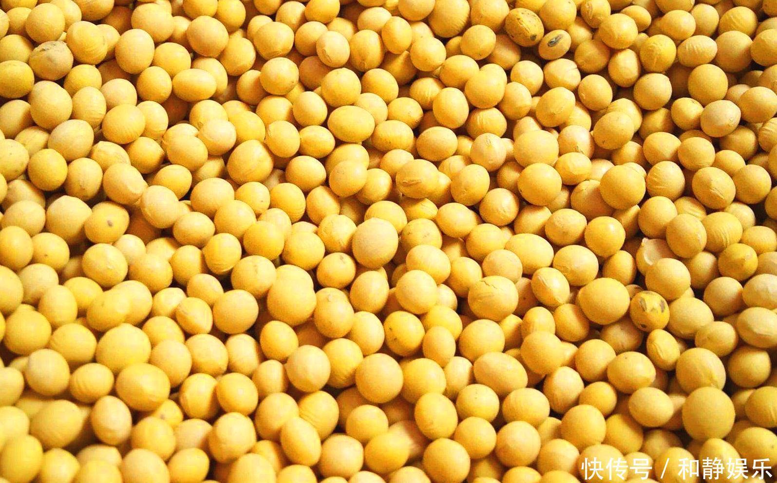 黄豆不要再打豆浆了,这样做开胃又下饭,只需几步就搞定,特解馋