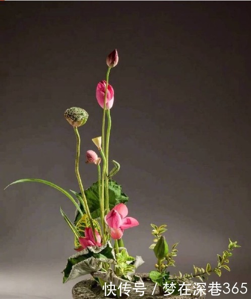 通透|佛教真理经典句子,睿智通透,顿悟人生!