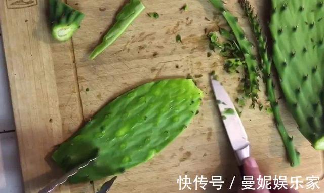 仙人掌|养了十多年，仙人掌都不变样，狠心来一刀，突然爆发开始猛长