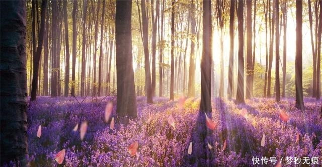 他位列五帝之一,娶了五个老婆,所生之子都不是他的!