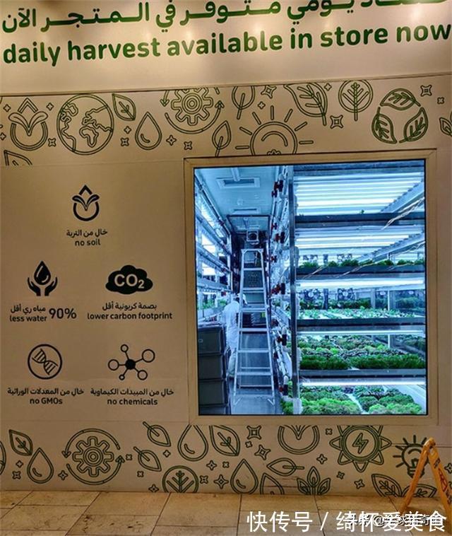 购物篮|34个巧妙机智的走心设计,忍不住给设计师点赞
