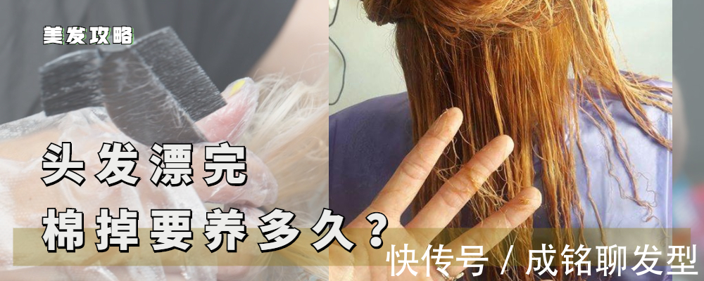 头发|漂染时髦又高级,但频繁漂发非常伤发,头发一旦棉掉就彻底没救了