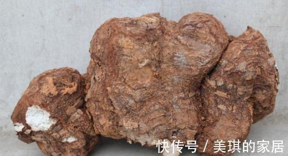 舌苔|儿科医生经验分享:冬季养脾技巧,它与鸡内金搭配,不积食少生病