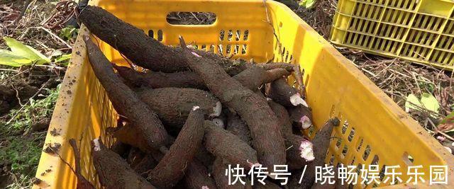 好心|七岁男童不幸离世,只因爷爷好心办错事!为了孩子,牢记这七点