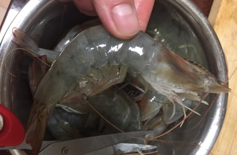 大虾别用水煮,教你一个简单做法,酥香过瘾,虾肉嫩滑,太好吃了