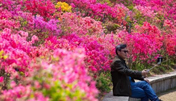 兰花|6种北方不适合养的花卉,技术不到位容易死,非高手就不要考虑了