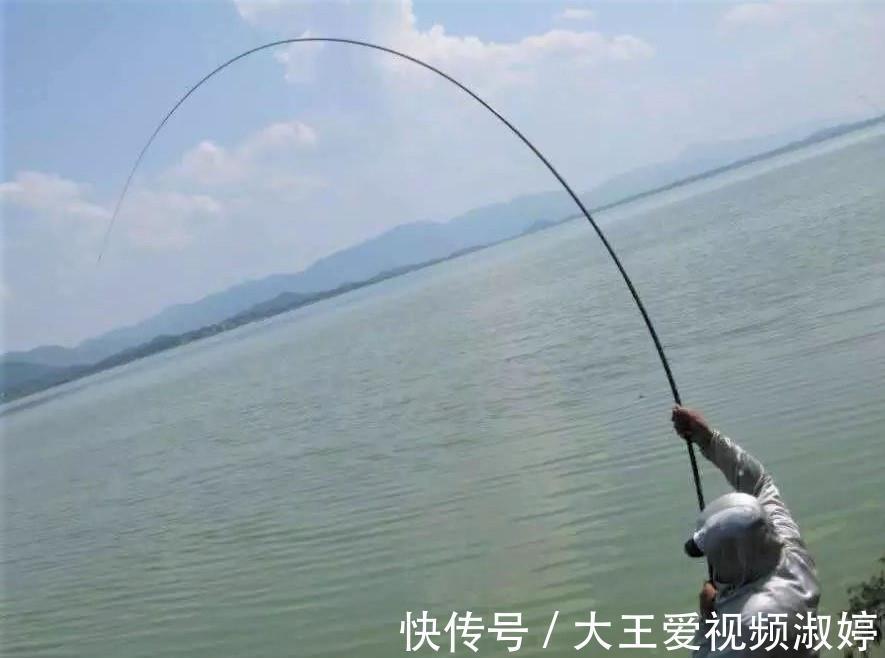 玉米|夏天钓草鱼，掌握简单几点，新手一样连竿