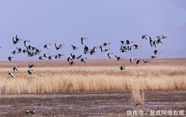 洱海|「我的家乡在河北」春水连天、万鸟翔集！河北版的“苍山洱海”，简直太仙儿了！