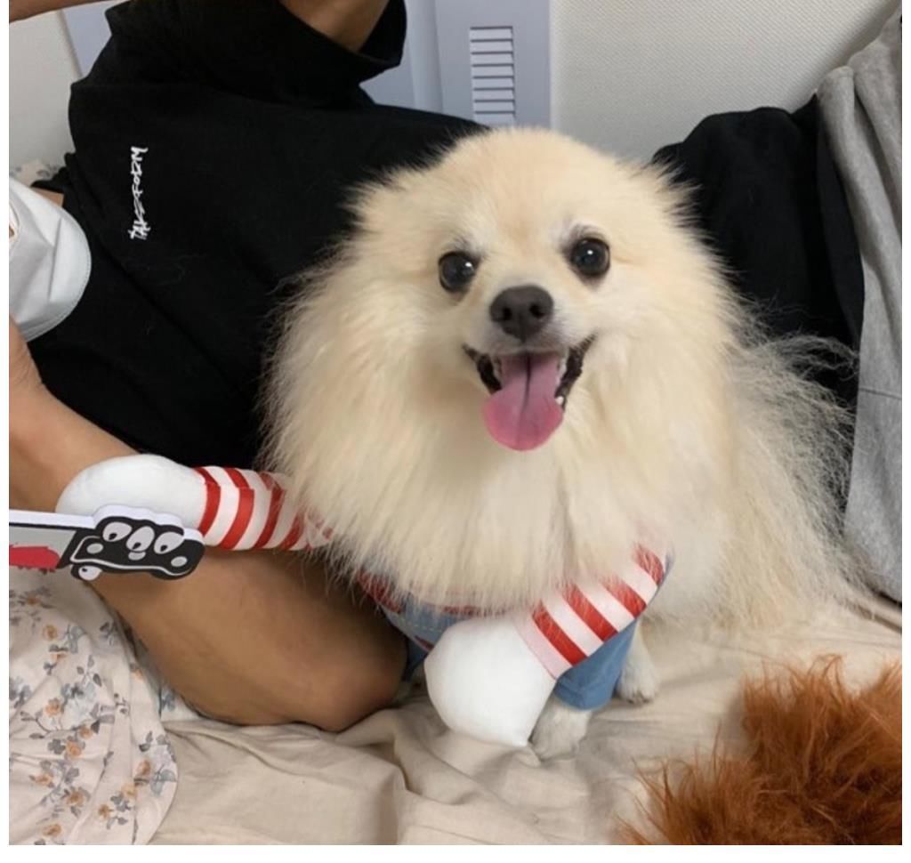 |解说搞笑吃鸡78:原来G港的肥物资都在这,数数几把信号枪和三级套?