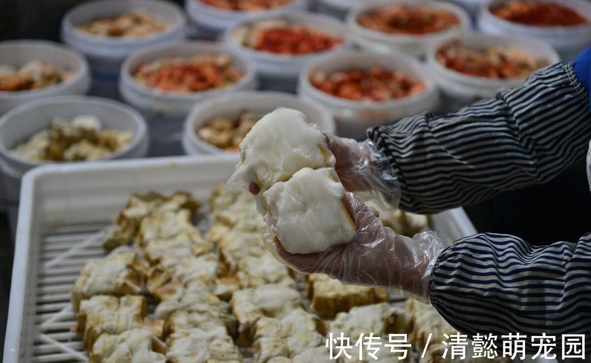 豆腐乳到底是“垃圾食品”,还是营养食品?为了健康,早作了解吧